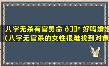 八字无杀有官男命 🐺 好吗婚姻（八字无官杀的女性很难找到对象吗）